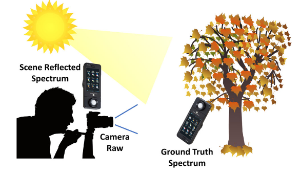 数据集收集方案 https://img.shuweiyue.com/img/1756357045906-c528b7e2-e1b1-450c-a61d-62438104fb64.png